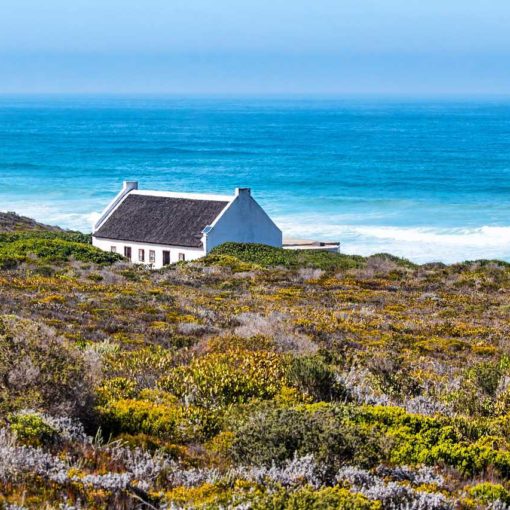 Finance éthique et investissement ISR