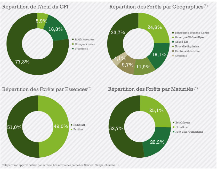 diversification GFI