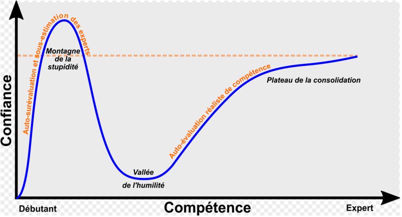 Biais de surconfiance