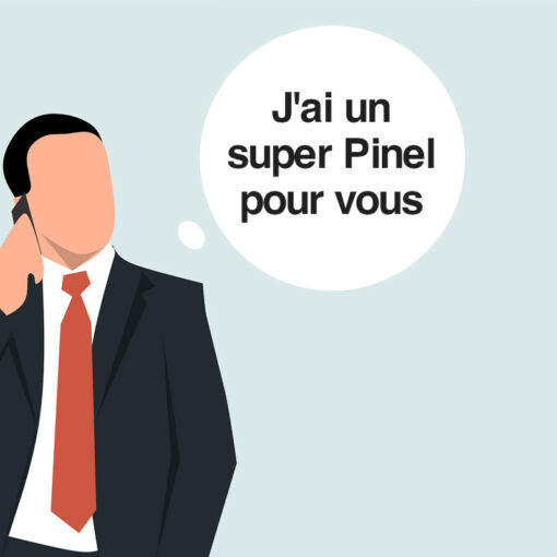 Conseiller vendeur Pinel