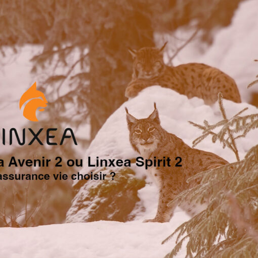 Linxea Avenir 2 ou Linxea Spirit 2