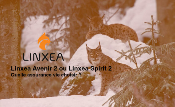 Linxea Avenir 2 ou Linxea Spirit 2