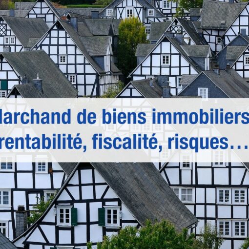 marchand de biens immobiliers